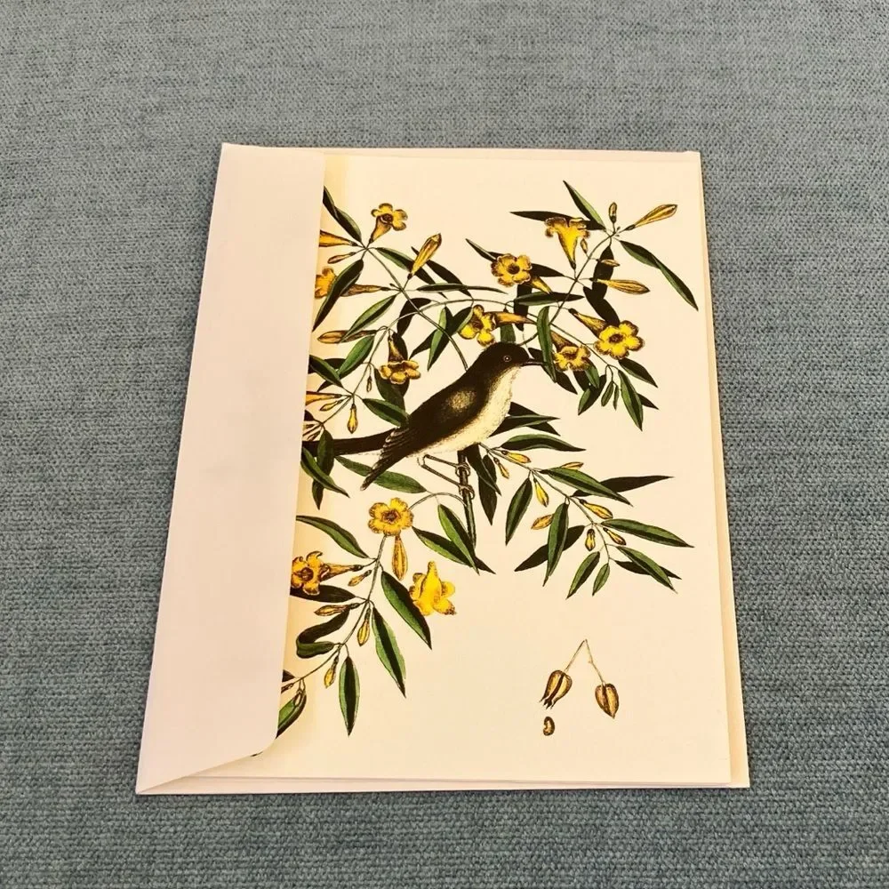 The Blackcap Flycatcher The Colonial Williamsburg Foundation Card